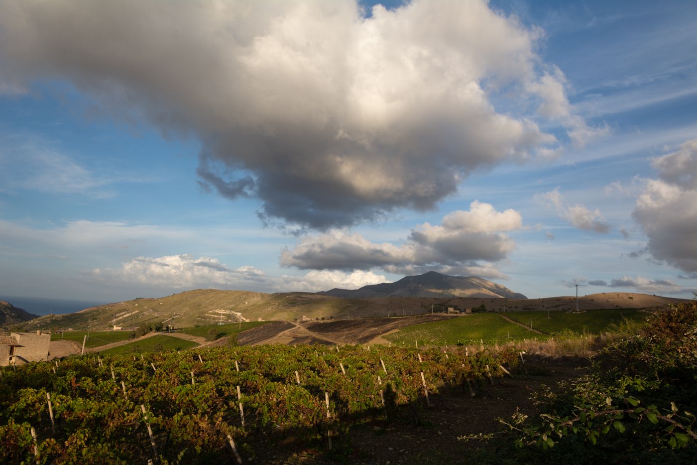 mid-point winery | Paso Robles tasting room