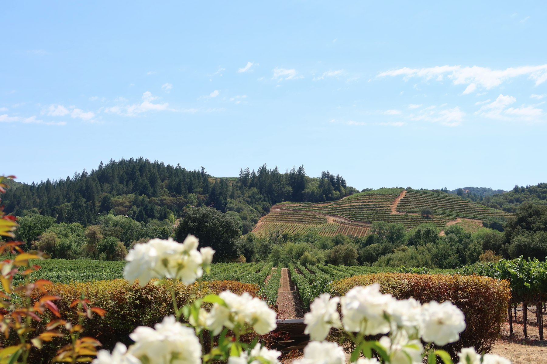 Bodega de Edgar | Paso Robles tasting room