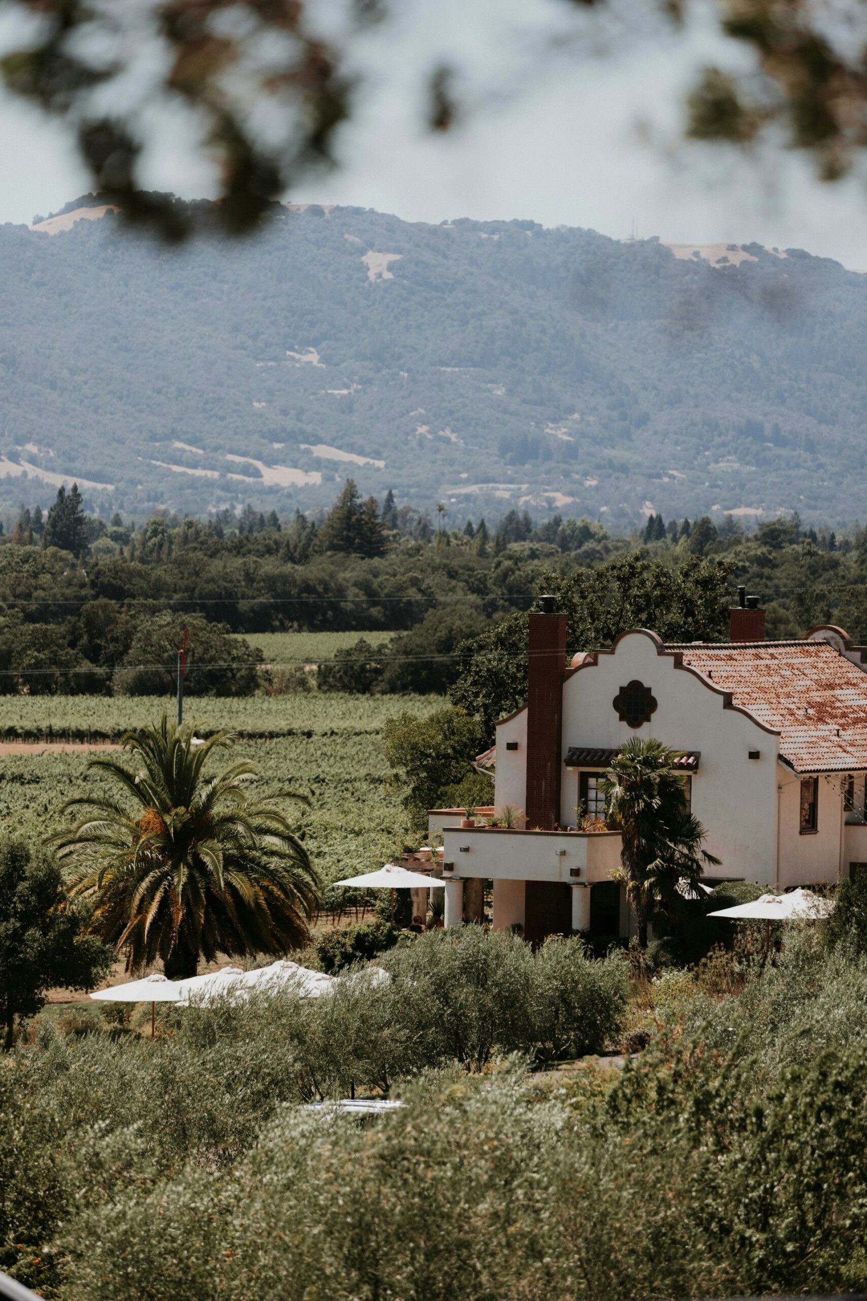 Brochelle Vineyards | Paso Robles tasting room