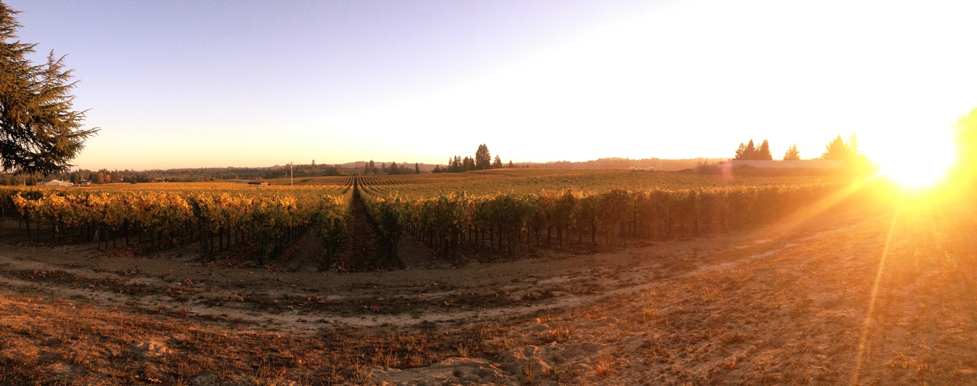 Villicana Winery | Paso Robles tasting room