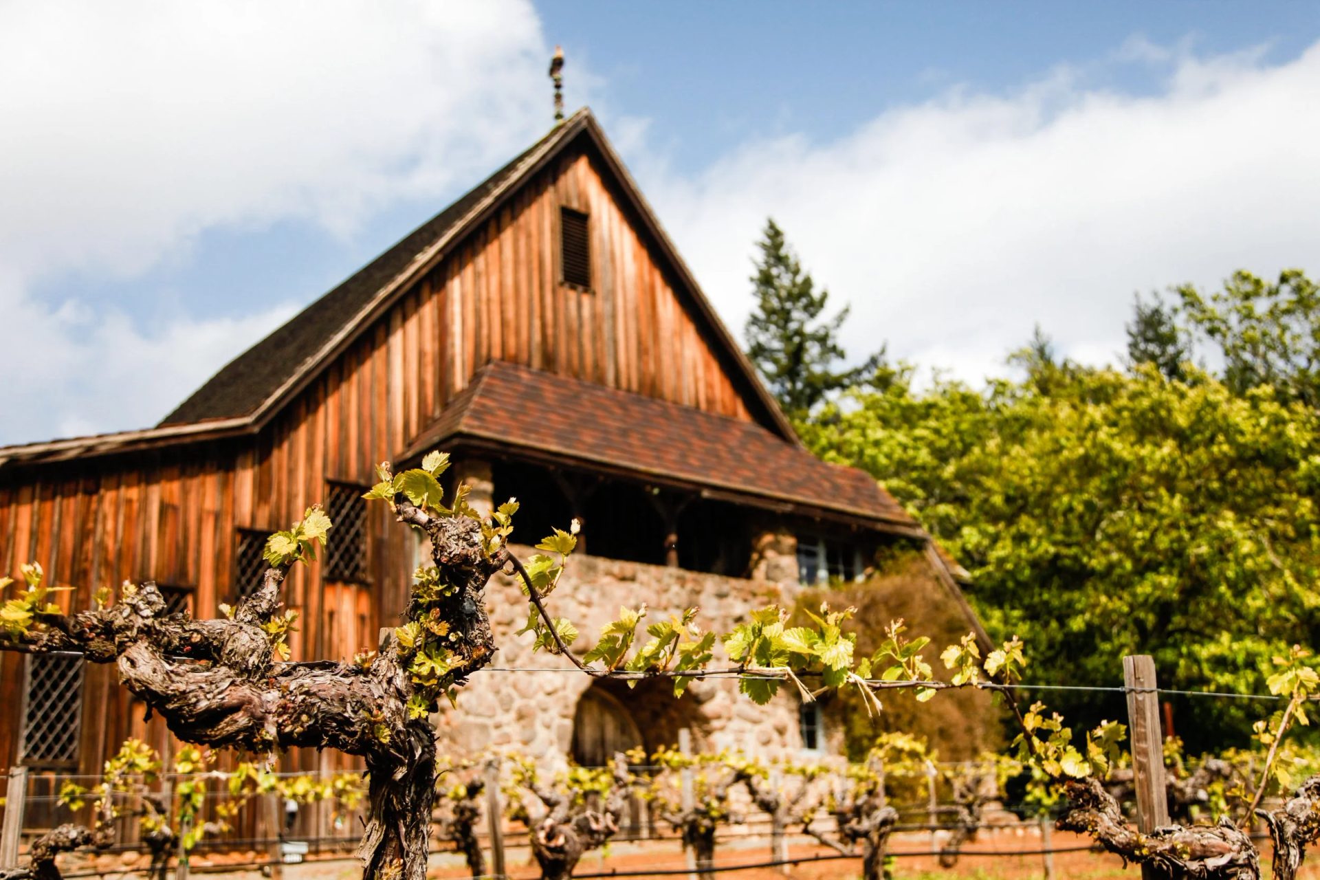 Dark Star Cellars | Paso Robles tasting room