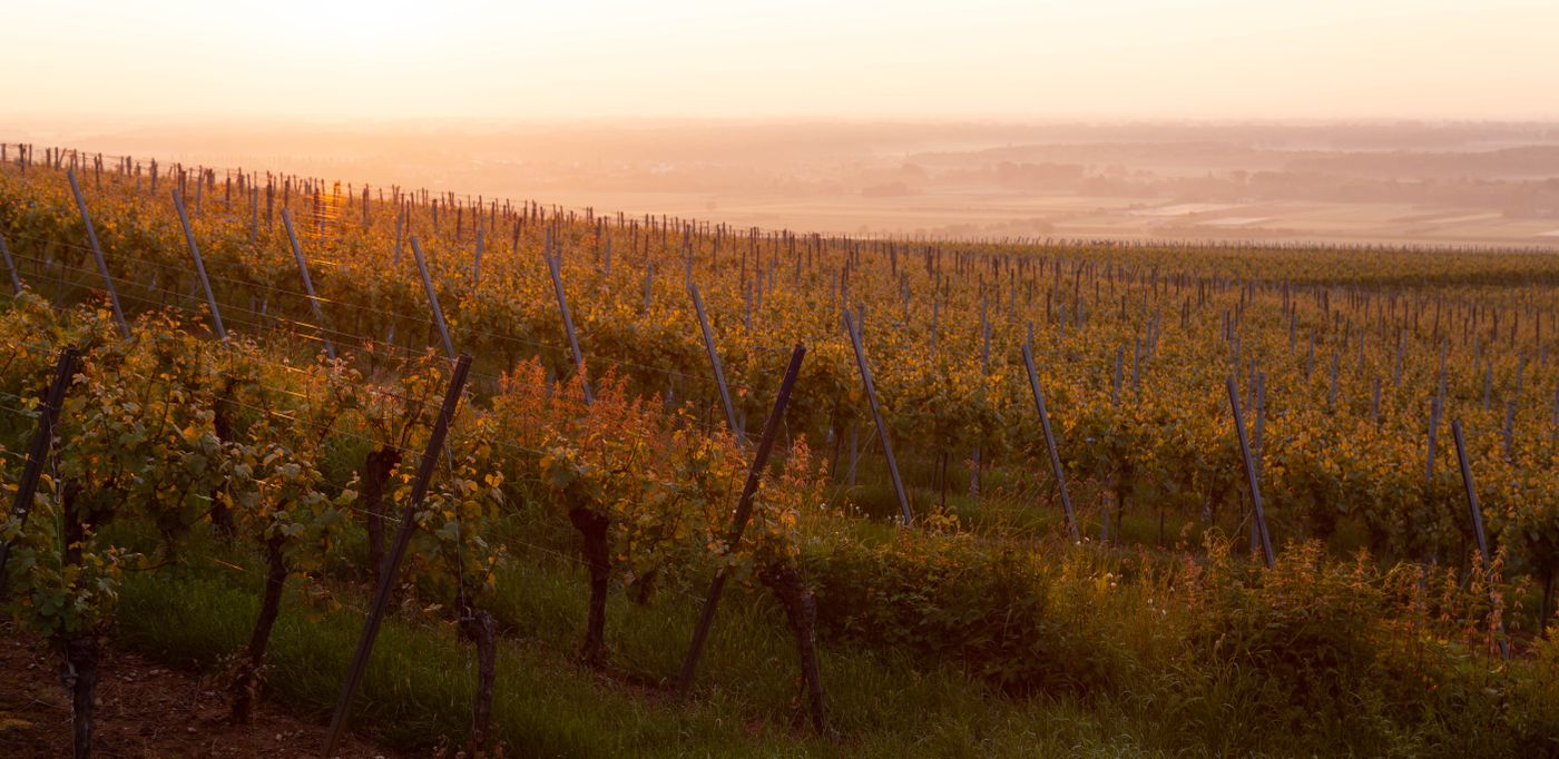 PasoPort and Per Caso Cellars tasting room