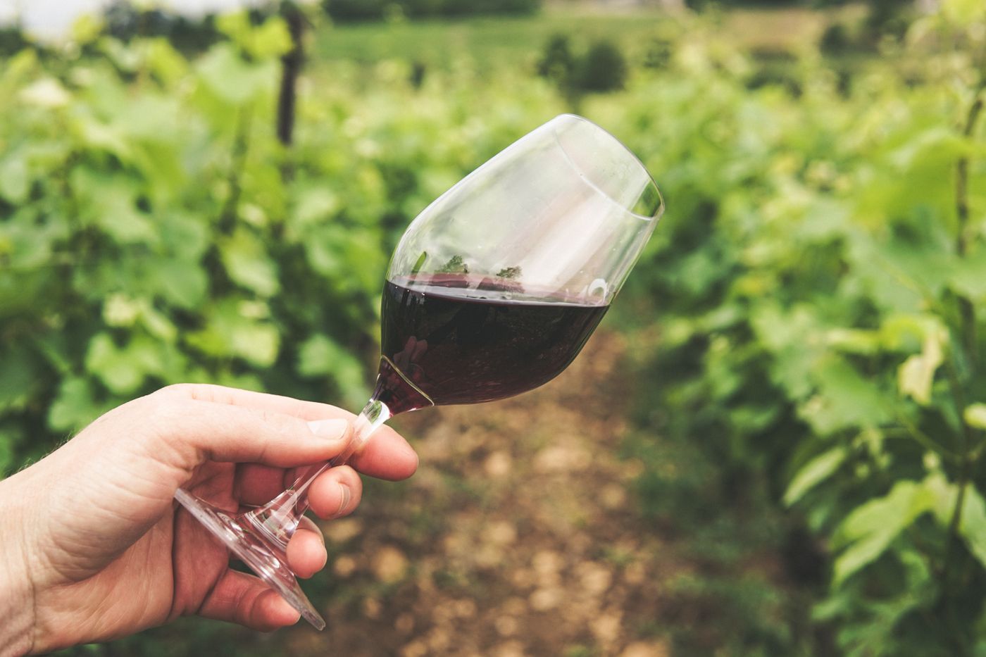 Person swirling a glass of red wine to release aromas during a tasting