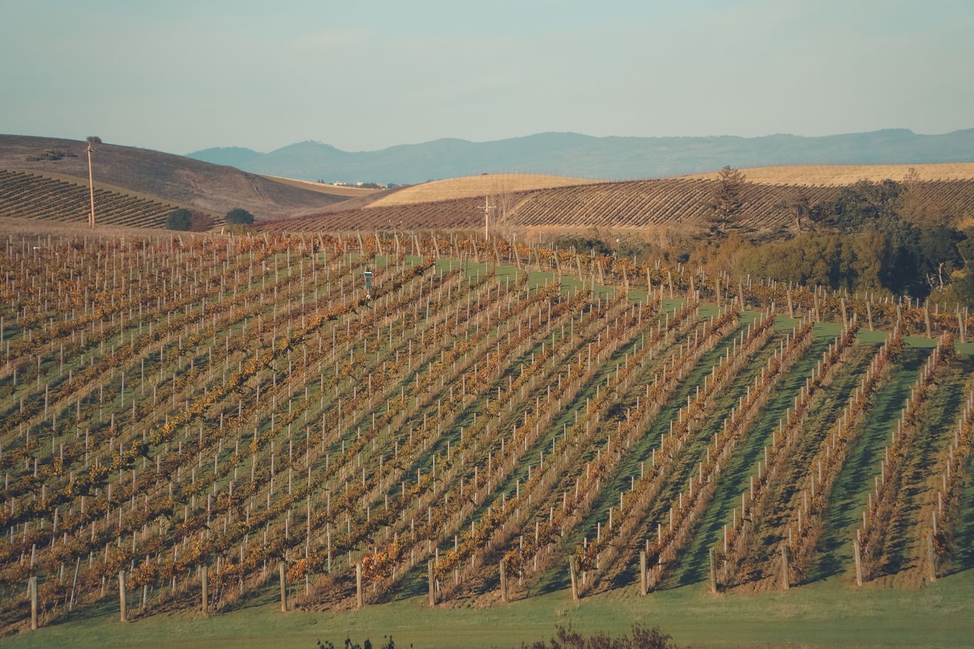 Clos du Val | Napa Valley tasting room
