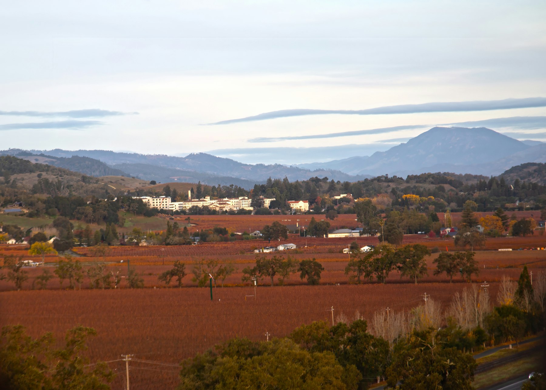 Barton Family Wines and Grey Wolf Cellars | Paso Robles tasting room