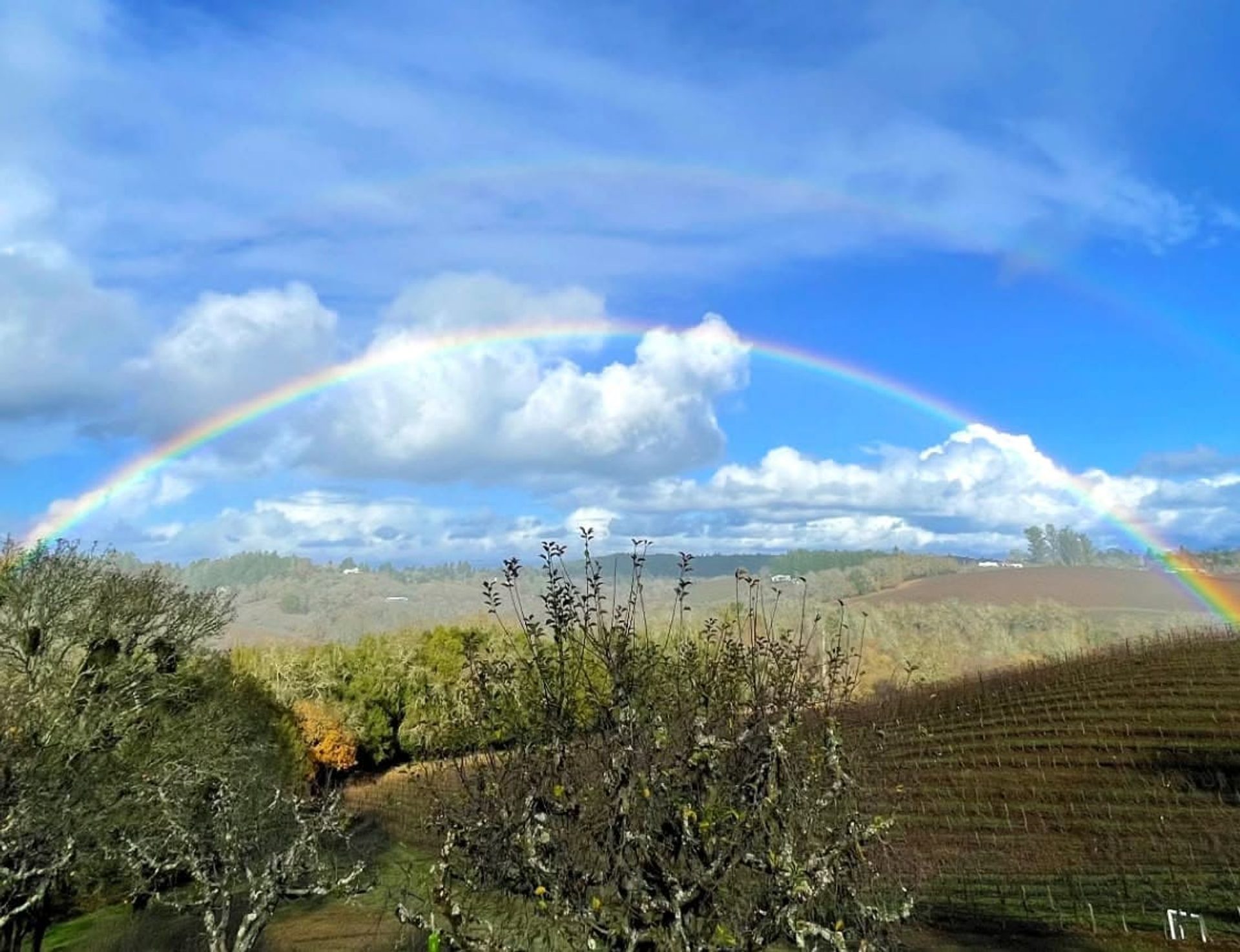 Denner Vineyards | Paso Robles tasting room
