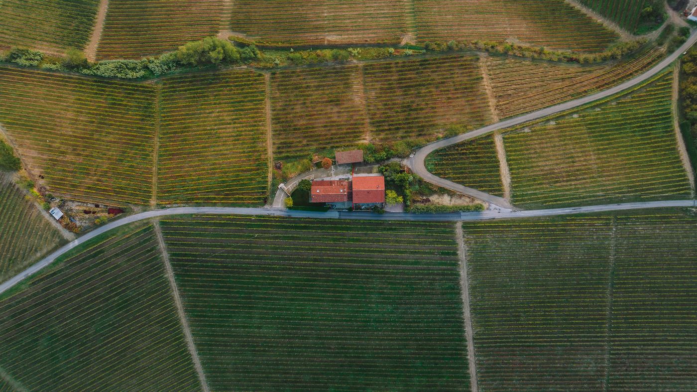 Flora Springs Winery | Napa Valley tasting room