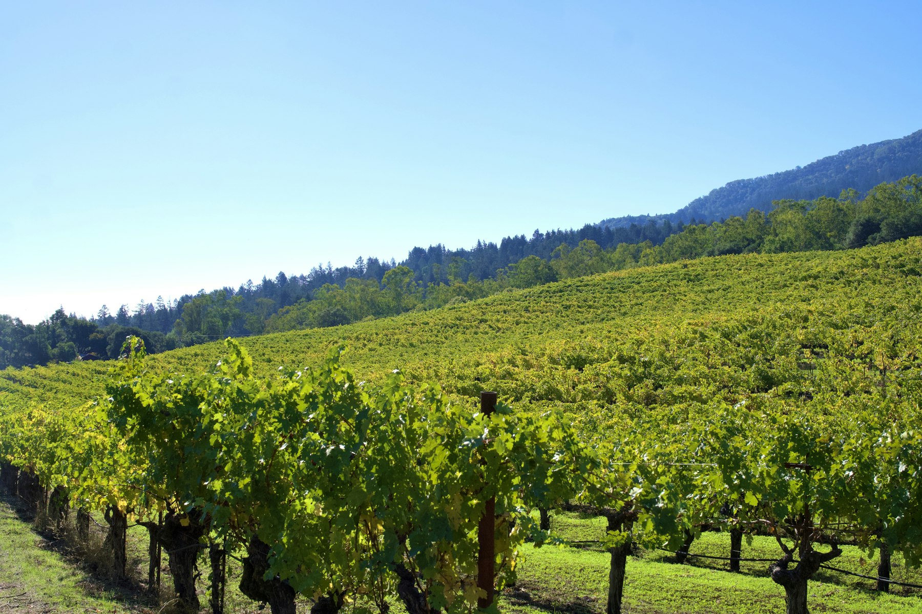 Hunt Cellars | Paso Robles tasting room