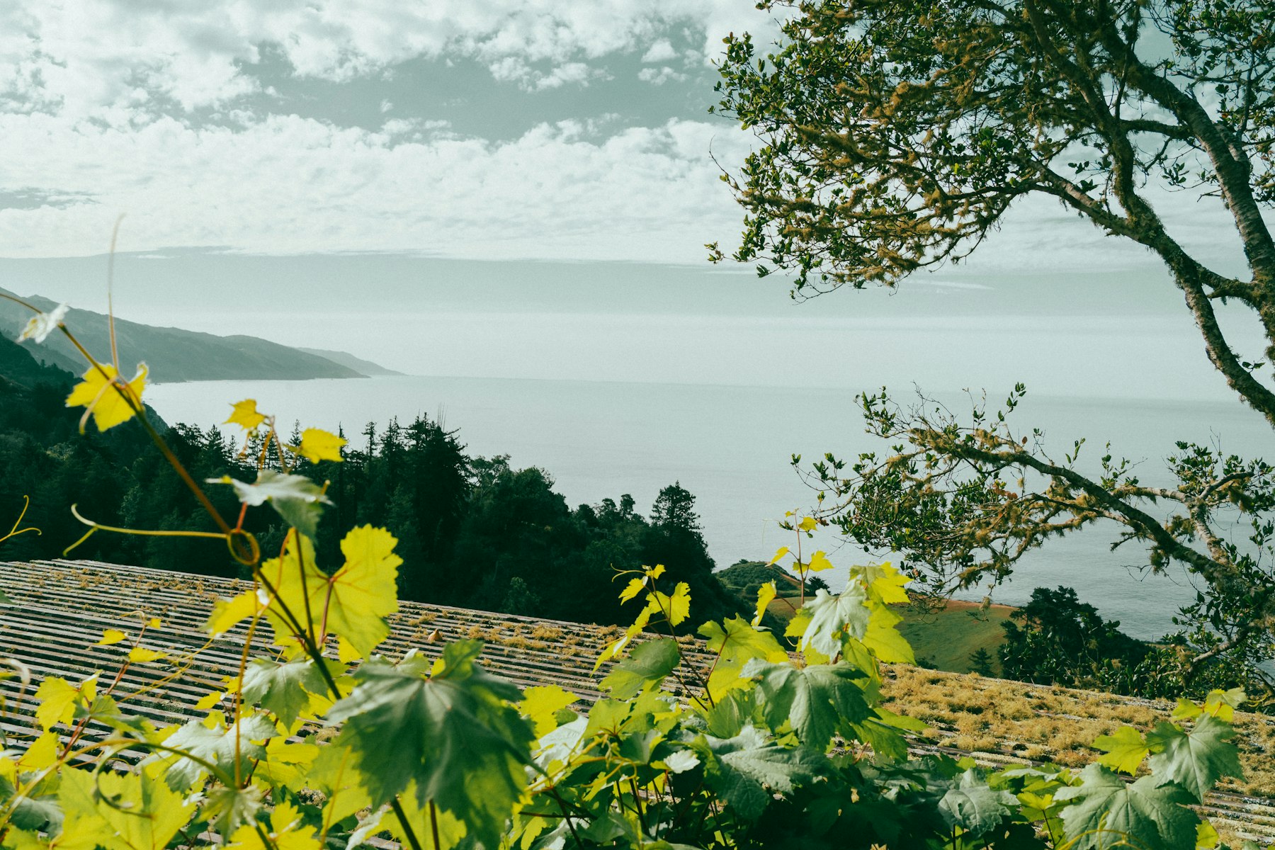 Fulldraw Vineyard | Paso Robles tasting room