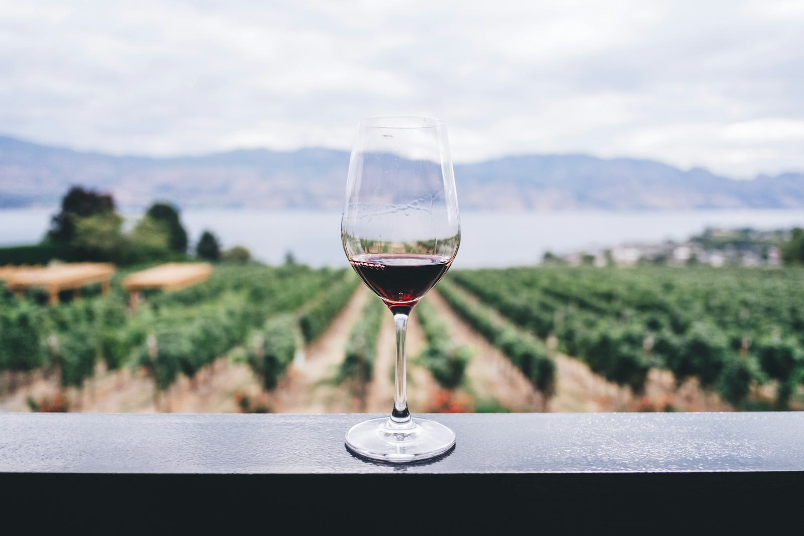 Vigo Cellars | Paso Robles tasting room