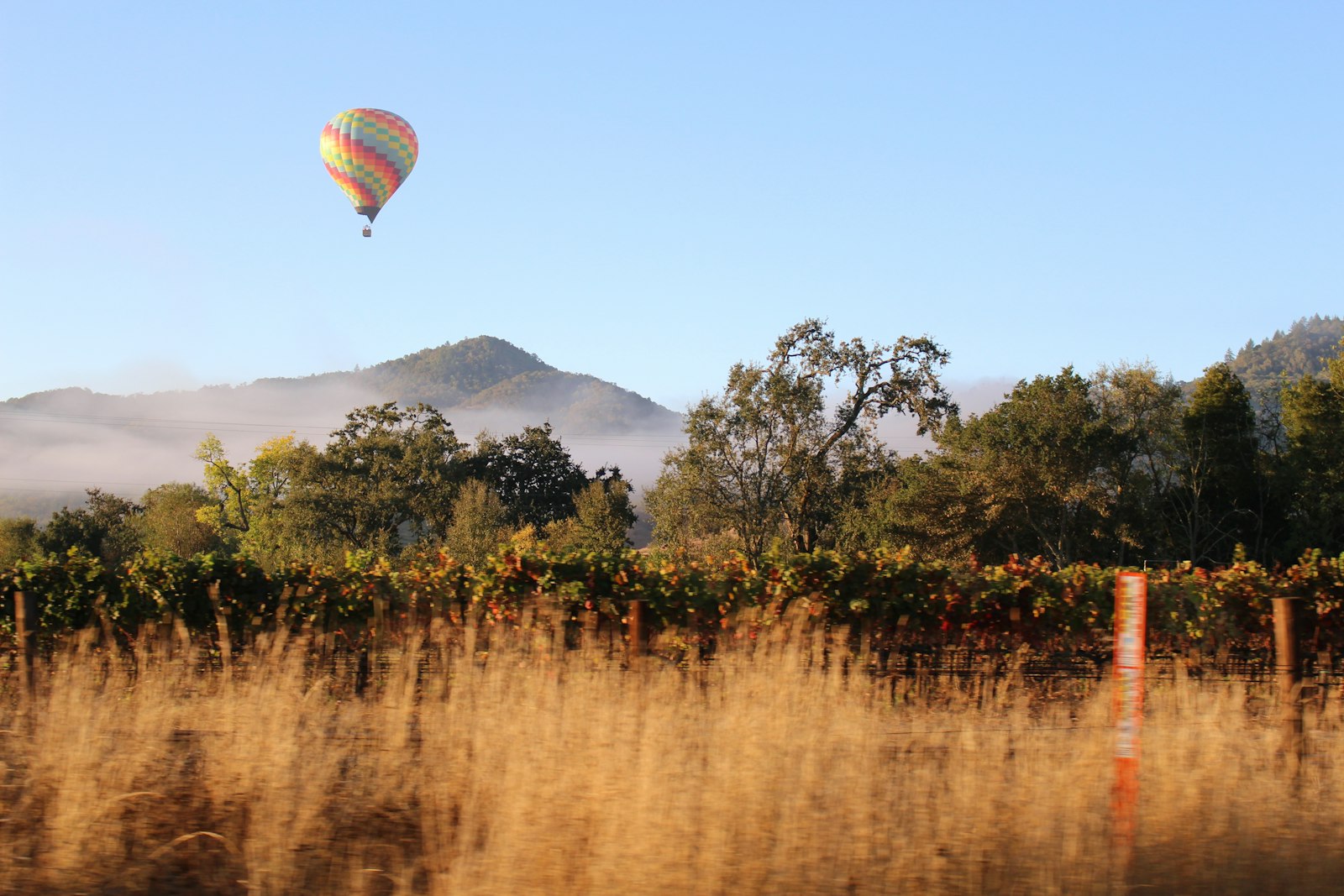 Napa Valley Wine: AVAs, Wineries & What to Drink - California › Napa Valley winery and vineyard
