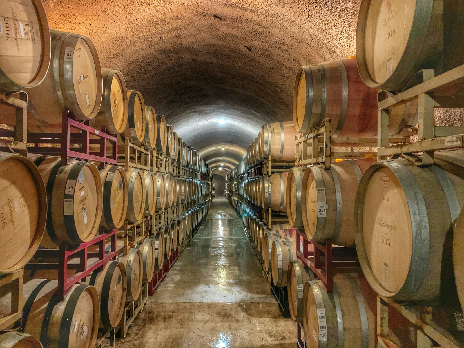 Rows of oak wine barrels aging in a Napa Valley wine cave