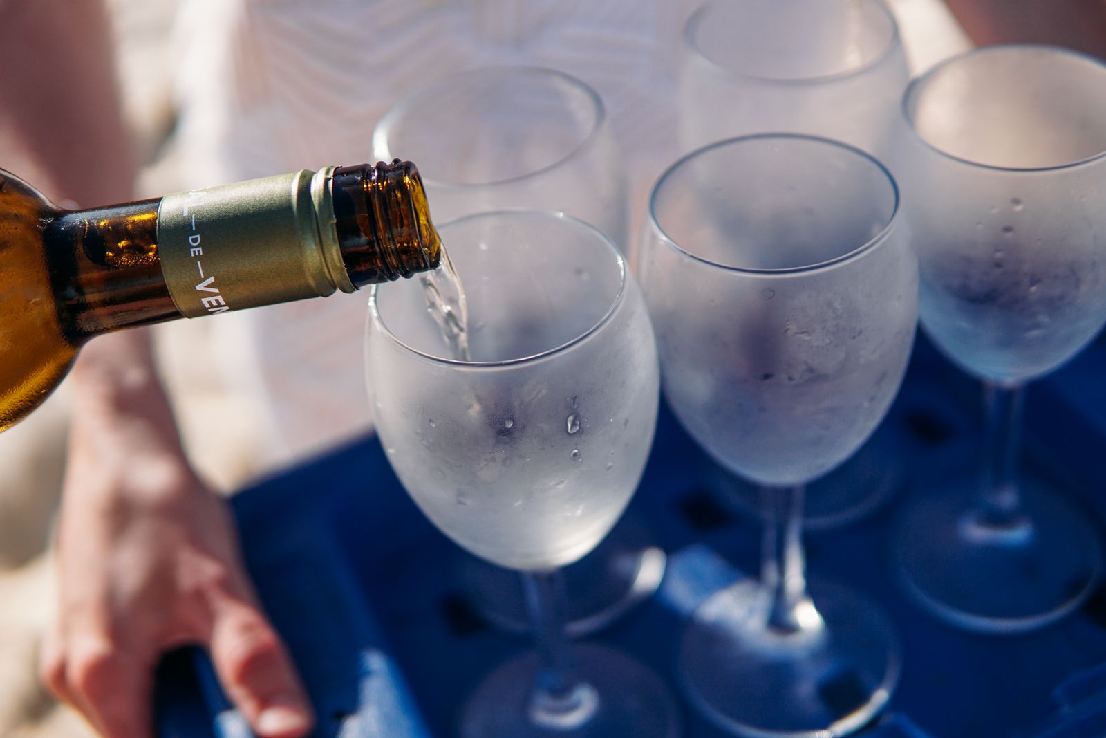 Pinot Grigio: Taste, Styles, Sweetness, and Food Pairing - The World’s Easy-Drinking White winery and vineyard