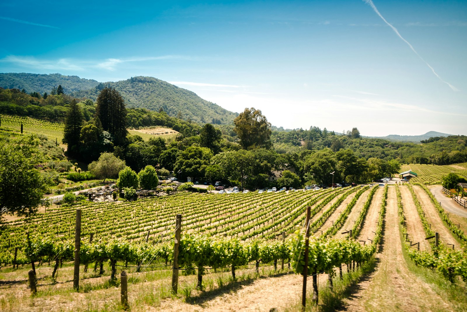 Santa Barbara wine country tasting room