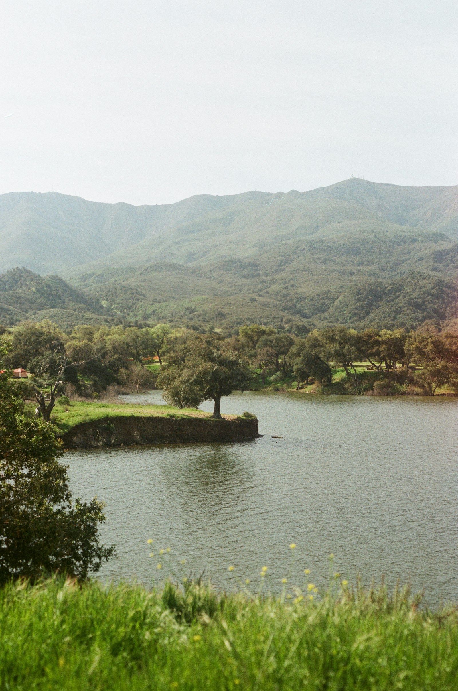 Oak-dotted hills above a lake in California wine country