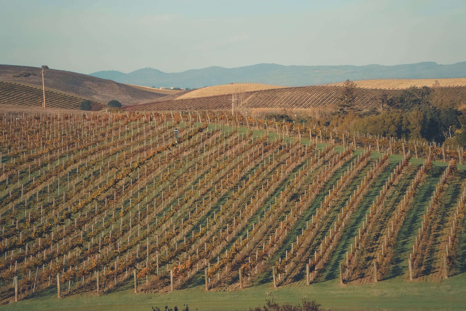 Kiler Canyon Vineyard | Paso Robles tasting room