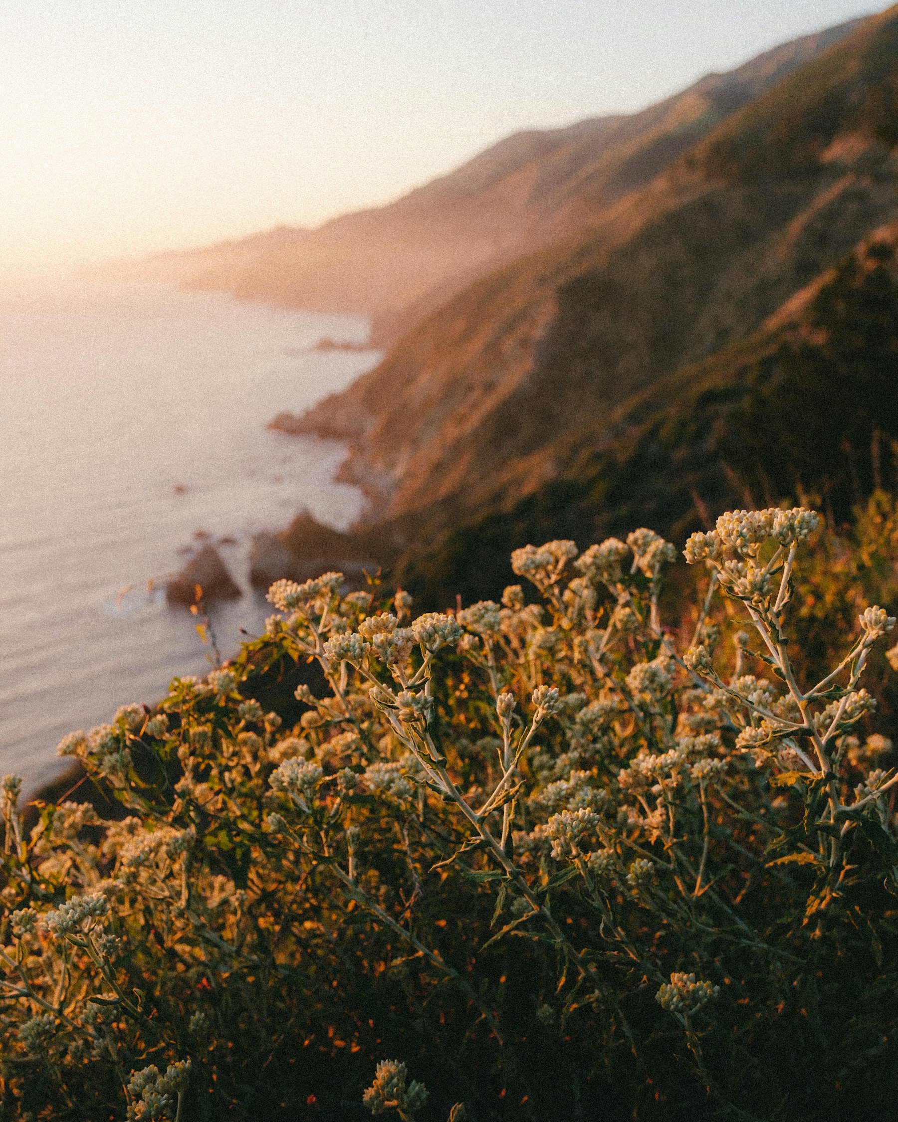 Rugged Pacific coastline along California cool SLO Coast