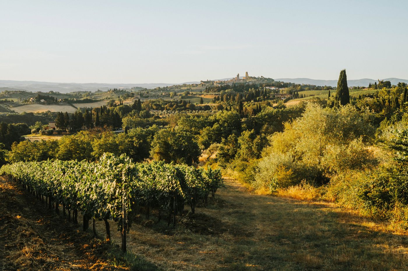 Venteux Vineyards | Paso Robles tasting room