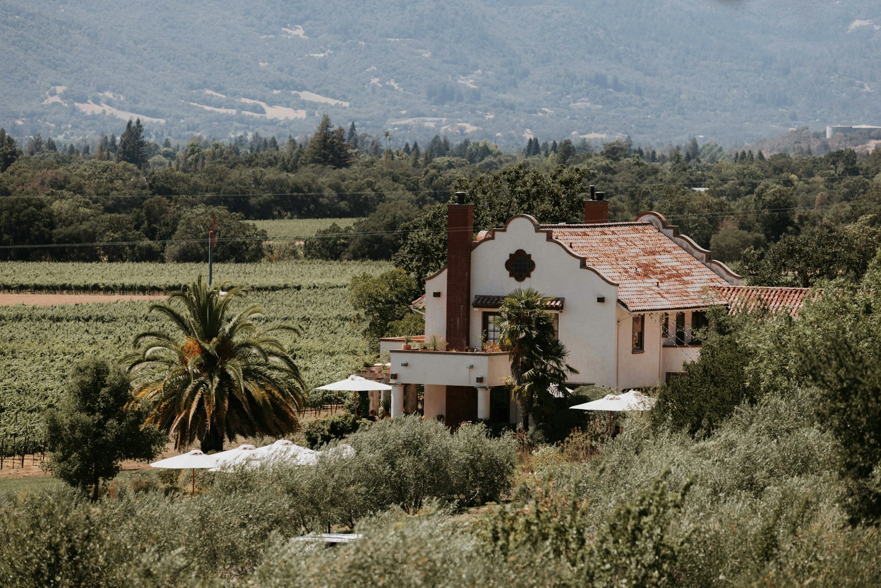 Sonoma County Wine: AVAs, Wineries & What to Drink - California › Sonoma County winery and vineyard