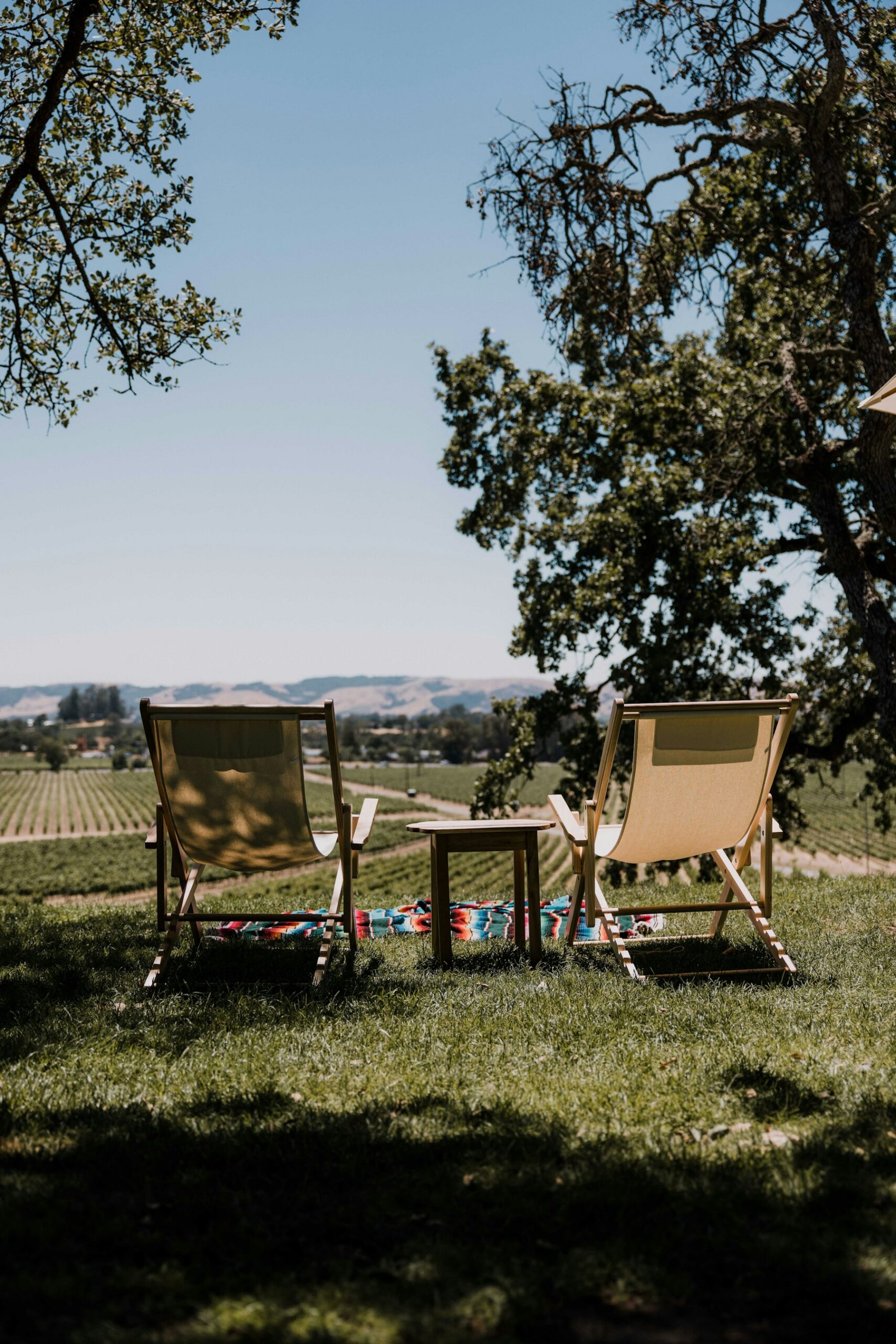 Two chairs under an oak tree overlooking Sonoma wine country hills