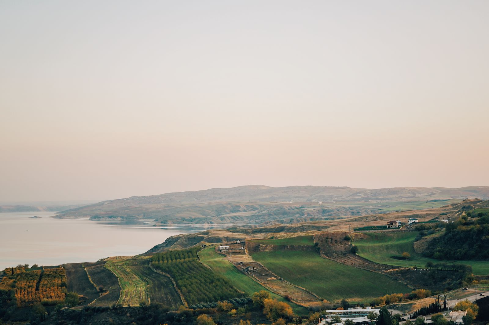 Lone Madrone | Paso Robles tasting room
